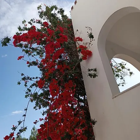 Apartment Castello Verde Plakias *